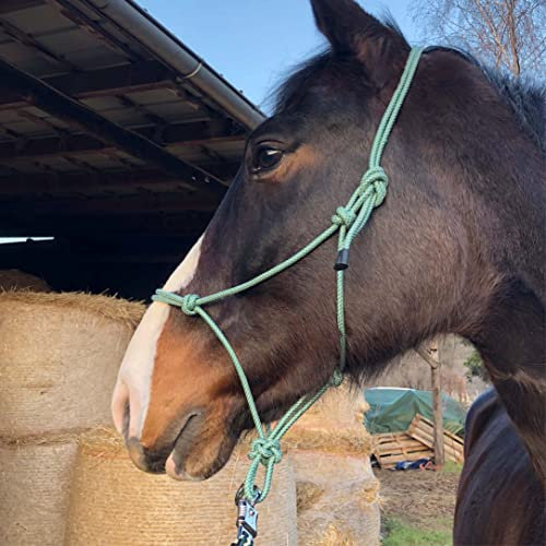 Knotenhalfter für Bodenarbeit Pferd - Knotenhalfter Cob optimal für Freiarbeit, Bodenarbeit, Führ- oder Verladetraining (Pony, Grün-Weiss)