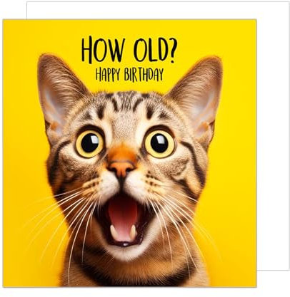 Edition Seidel Premium quadratische Geburtstagskarte mit Umschlag. Glückwunschkarte Happy Birthday Billet Tier Karte Kinder Mann Frau Coole Katze Humor Lustig (GQ152 SW024)