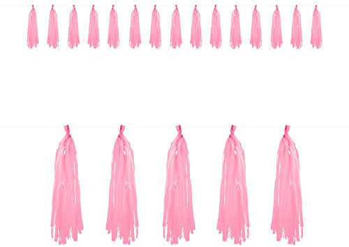 Oblique Unique® Tassel Girlande Quasten Quoddel Quaddel Troddel Papier Streifen Deckenhänger Banner Deko für Geburtstag Hochzeit Jubiläum Party Feier Kindergeburtstag Dekoration - wählbar (Rosa)