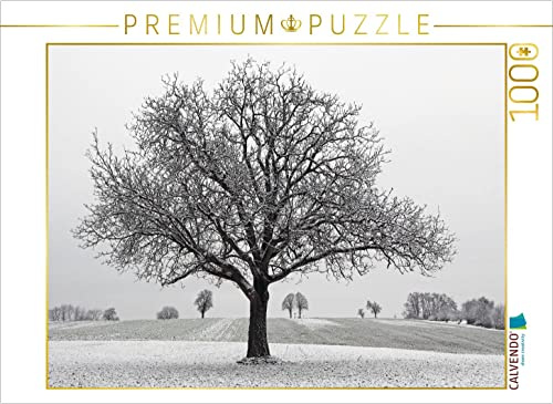 CALVENDO Puzzle Dezember | 1000 Teile Lege-Größe 64 x 48 cm Foto-Puzzle für glückliche Stunden