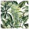 murando Papel Pintado autoadhesivo Hojas 10m Fotomurales tejido no tejido rollo Decoración de Pared decorativos Murales XXL moderna de Diseno Fotográfico - Naturaleza botánica selva b-B-10089-j-a