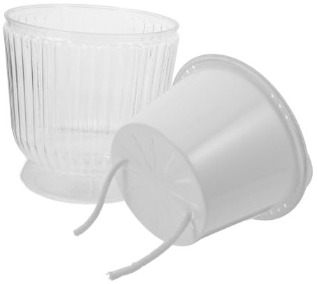 TOYANDONA Maceta Pequeña Transparente para Cactus Jardinera Hidropónica con Riego Automático