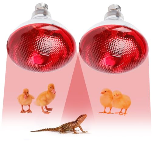 KBIBCK 2Pcs Infrared Heat Lamp Bulb, 250W Infrared Reptile Heat Lamp Bulb, Infrared Glass Bulb, Waterproof Basking Spot Red Heat Light for Poultry Chicks Puppy Cats Pigs Lizard Tortoise Bearded Dragon