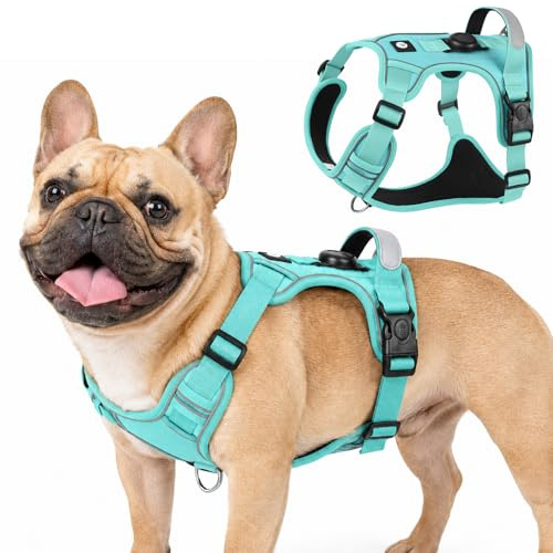 Olcyren Hundegeschirr mit AirTag-Halter für Kleine Mittelgroße Grosse Hunde, Anti Zug Geschirr Hund mit Griff, Anti Zieh Reflektierend Verstellbar Brustgeschirr, No Pull Dog Harness (Türkis, M)