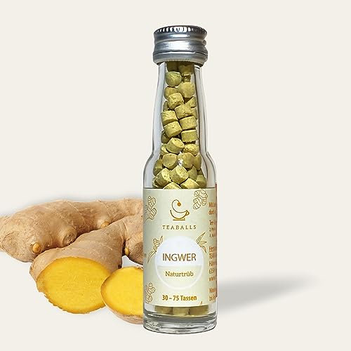 TEABALLS BIO - INGWER für ca. 40 Tassen Tee
