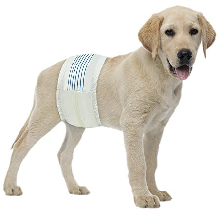 BV Hundewickel für Rüden, Einweg-Welpenpackungen für Rüden, 50 Stück (Medium, 50)