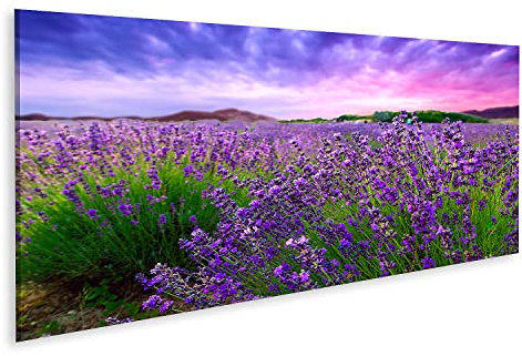 islandburner Bild auf Leinwand Sonnenuntergang Über Einem Lavendelfeld Tihany Ungarn Bilder Wandbilder Poster