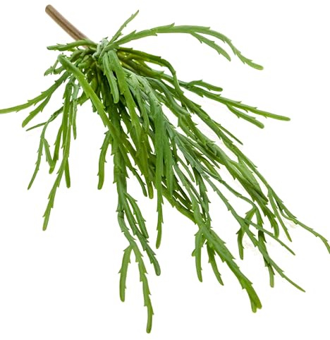 artplants.de Künstliche Rhipsalis Hadrian auf Steckstab, grün, 35cm - Deko Hängepflanze - Kunst Sukkulente