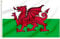 FLAGBURG Walisische Flagge 150 x 240 cm Die Rote Drachenfahne mit Messingösen, Lebendige Farbe und UV-beständig, Leinwand-Header und Doppelt Genäht Langlebig Wales Flag, für Draußen und Drinnen