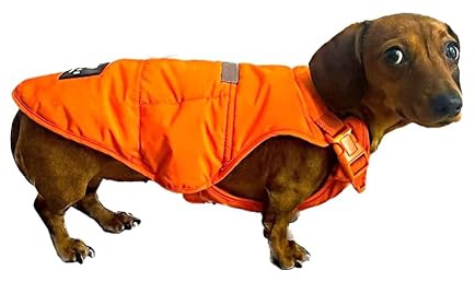 Bark Avenue Ultimate Explorer Hundemantel, verstellbar, Orange, Größe XXS