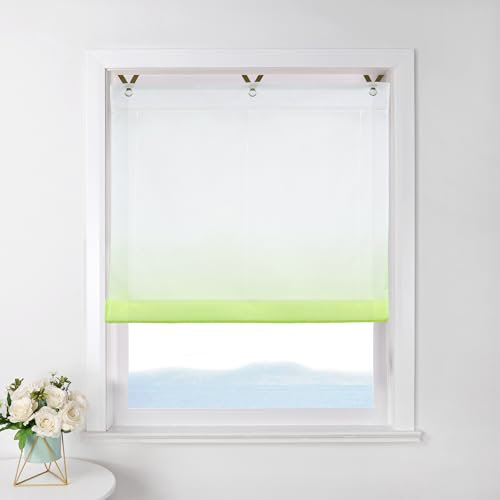 ESLIR Raffrollo ohne Bohren Raffgardine Transparent mit Ösen Farbverlauf Gardinen mit Haken Ösenrollo Modern Vorhänge Grün BxH 100x130cm 1 Stück