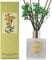 Cocorrína Raumduft Reed Diffuser mit 8 Duftstäbchen 200ml - Kamille-Eisenkraut, Natürlich, Langanhaltend, Home Duft ätherisches Öl Reed Diffusor für Badezimmer Regal Dekoration