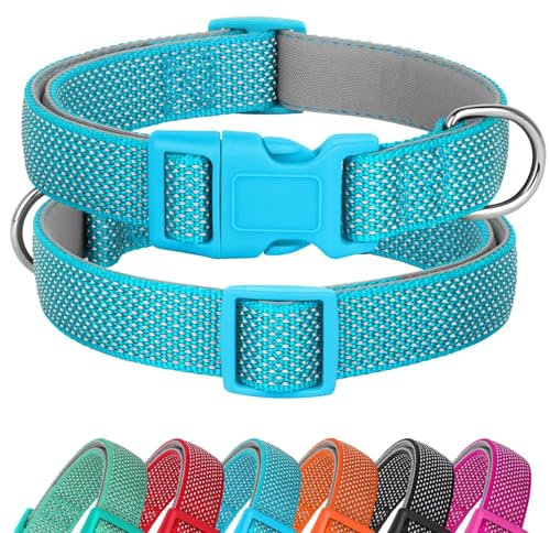 Didog Reflektierendes Hundehalsband mit Schnalle, verstellbar, weiches Neopren, gepolstert, Nylon, Haustierhalsbänder für kleine, mittelgroße und große Hunde, Blau, S