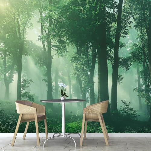 Papier Peint Forêt Brumeuse Panoramique 3D Nature Plantes Revêtement Murale décoration salon，Chambre Coucher Maison Décoration Intérieure 150×105cm