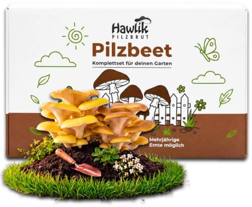 Hawlik Pilzbrut – Limonenpilze Pilzzuchtset für den Garten – In 30 Minuten Pilzbeet anlegen und einfach frische Pilze ernten – Mehrjährige Edelpilz Ernte - Pilze züchten Set im Garten ohne Vorwissen