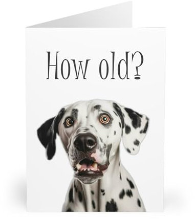 Dalmatiner-Geburtstagskarte – How Old? Quirky Query – Innenseite unbeschriftet für persönliche Nachrichten – Hunde-Liebhaber-Karte