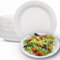 Clearly Disposable Plates, Pack of 500 Sturdy Paper Plates, Heavy Duty Paper Plates Bulk Pack for Party Food, Snacks, and More, White Bowls for Home and Business Use, 9/23cm Paper Dinner Plates