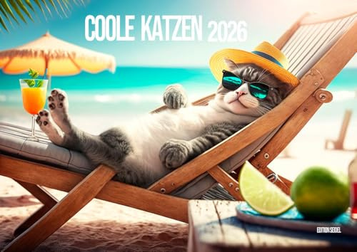 Edition Seidel Premium Kalender Coole Katzen 2026 Format DIN A4 Wandkalender Katzenkalender Haustiere Kätzchen Katze Kater lustige Sprüche