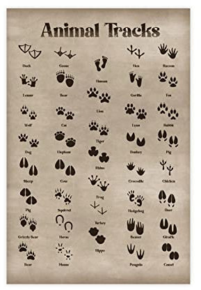 MOIT Animal Tracks Field Guide Retro Leinwand Poster Schlafzimmer Dekor Sport Landschaft Büro Zimmer Dekor Geschenk Unframe Stil 12x18inch (30x45cm)