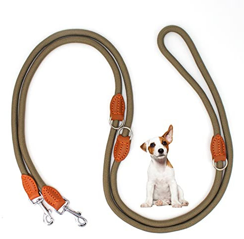 Hundeleine für Mittelgroße & Kleine Hunde 3M Doppelleine Verstellbar Führleine mit 2 Karabiner Umhängeleine Nylon Dog Lead 3 Meter lang x 10 mm Beige