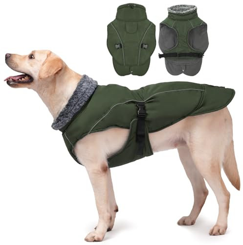 DENTRUN Hunde Wintermantel, Hundepullover Grosse Hunde, Hundejacke Große Hunde, Hundewintermantel Wasserdicht, Hundejacke Warm, Outdoor Hundemantel Labrador(Armeegrün,2XL)