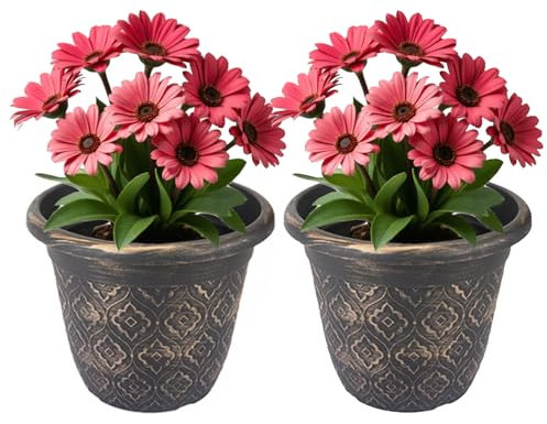 Almineez Set of 2 Rustic Plant Flower Pot Indoor & Outdoor Plastic Plant Pots With Drainage Holes Lightweight Easy To Move Plant Pots Garden Decoration Herb Orchid Planting Pot (Black With Copper)