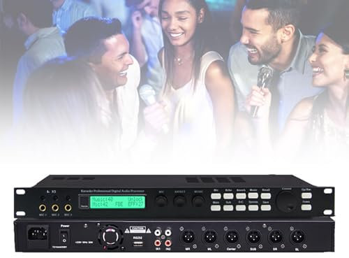 BDJSN Professional Digital Pre-stage Effector, 3 Microphone Input, Anti-howling Audio Processor, 15-band Microphone Equalizer Adjustment, for Karaoke, Stage, Church, Performance, Wedd