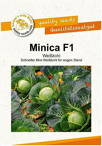 Kohlsamen Minica F1 Mini-Weißkohl Portion