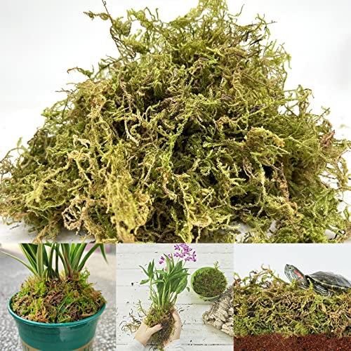 YUNSTK 315g Natürliches Sphagnum Moos, Moos Deko Erhöhung der Luftfeuchtigkeit, Moos aus kontrolliertem Anbau ideal für Orchideen und Bonsai, Getrocknetes Moos für Bequem Reptilien Lebensraum