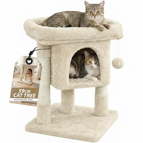 Rex & Roxy Cat Tree 59cm | Cat Tower with Oversized Perches, Condo and Hanging Ball | Pet Furniture House for Kittens | Cat Scratching Post for Scratching, Playing and Sleeping (Beige)