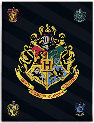 BERONAGE Große Harry Potter Hogwarts Wohndecke 150 x 200 cm super weiche Flanell-Decke Kuscheldecke Sofadecke Fleece-Decke Gryffindor Hufflepuff Ravenclaw Slytherin Ron Hermine Pass. zur Bettwäsche