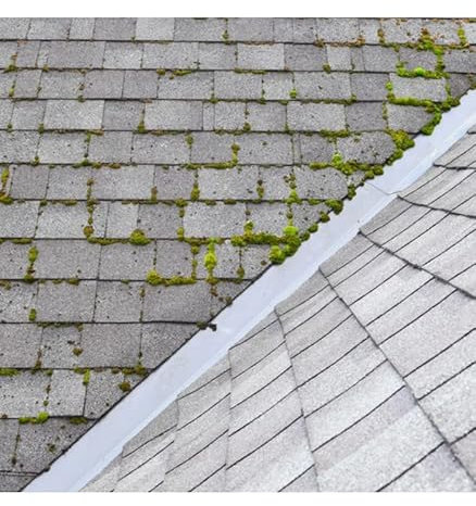 Imperméabilisant incolore traitement destructeur algicides lichens et verdissures 2 L - MATPRO