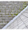Imperméabilisant incolore traitement destructeur algicides lichens et verdissures 2 L - MATPRO