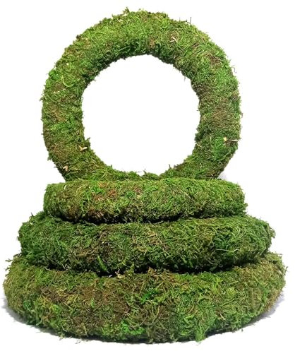 Elixir Gardens Moss Padded Wreath Rings | Festive, Christmas Decorative Padded Circular Frames for Doors, Walls & Tables Centrepieces | 8(20cm) x 2