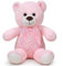 Sausudols Orso di Peluche Teddy Orsacchiotto Grande 60 cm Peluche Giocattolo Regalo per Compleanno Natale e San Valentino Rosa