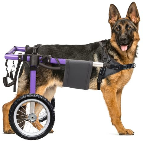 Virbraroo Hunderollstuhl für Hinterbeine – leichter Hunderollstuhl aus Aluminiumlegierung, verbesserte All-Terrain-Reifen für große Hunde, 40–60 kg (XXL)