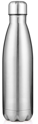 Gourde Filtrante Haut De Gamme Bouteille d'eau en Acier Inoxydable Bouteille Isotherme pour Sport Gym Voyage Silver,750ml