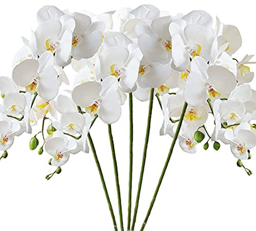 HinyoCo 5 pezzi Fiori di orchidee artificiali Phalaenopsis 8 teste di fiori di orchidee Farfalla per la decorazione della casa