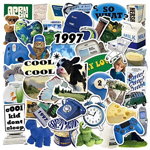 50PCS Cute Blue Girl Heart Ins Stickers, Realistische Ästhetische Vsco Trendy Stickers Packs für Wasserflaschen, Laptop, Telefon