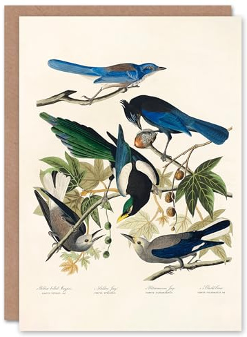 Artery8 John James Audubon Art Card Magpie Clarks Crow and Jays