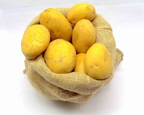 Bamelo I Kartoffeln Festkochend I Jumbo Kartoffeln aus der aktuellen Ernte 5 Kg