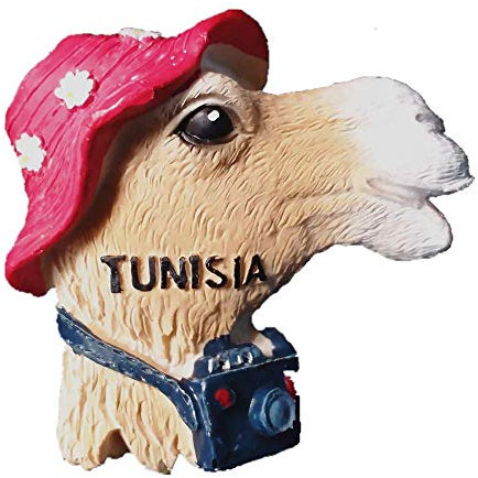 Tunesien Afrika 3D Kühlschrankmagnet Tourist Souvenir Geschenk & Sammlung Home & Kitchen Dekoration Magnetaufkleber Tunesien Kühlschrankmagnet
