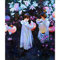 2000 Piece Jigsaw Lantern for Girls Adult Jigsaw Demanding Jigsaw Skills Game for The Whole Family