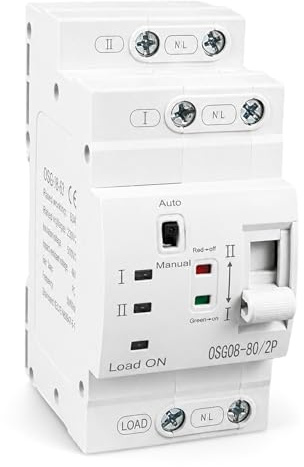 Interruttore di trasferimento automatico 2P 63A 220V su guida DIN ATS, commutatore elettrico Dual Power, interruttore di trasferimento automatico, interruttore di alimentazione di emergenza con alta