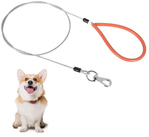 Cleminsta Chew Proof Hundeleine, 2M, Schwarz, Orange, Metall, Legierter Stahl, Ideal für Große und Kleine Hunde Training