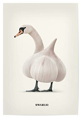 artboxONE Poster 30x20 cm Tiere Swarlic hochwertiger Design Kunstdruck - Bild swan Animals Birds