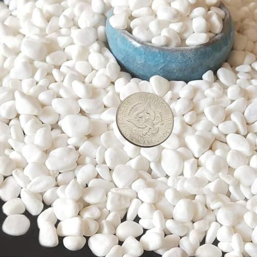 TOYPOPOR Mini White Rocks Stone Decorative Pebbles Vase Fillers Succulents Cactus Bonsai DIY Plant Rock Garden Outdoor Indoor Gravel for Aquarium, Terrarium, Fairy Gardening, Top Dressing 6lbs