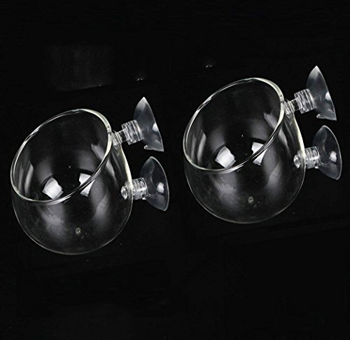 Bhbuy Lot de 2 mini pots de fleurs en verre cristal avec ventouses pour décoration d'aquarium