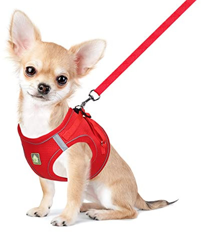 FEimaX Dog Harness and Leash Set for Small Medium Dog Cat No Pull Adjustable Soft Mesh Chihuahua Chest Harness Puppy Reflective Step-in Safety Vest for Outdoor Walking