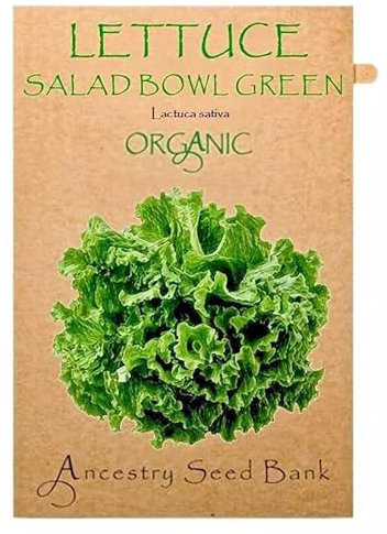 Organic Lettuce ❁ Salad Bowl Green ❁ 150 Seeds Heirloom - Non GMO